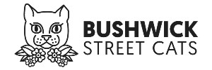 Bushwick Street Cats